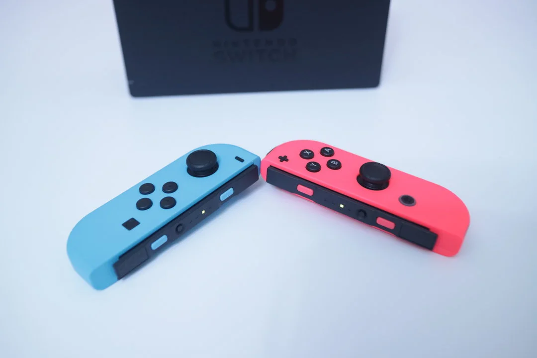 两个 Joy-Con 手柄 两个 Joy-Con 手柄